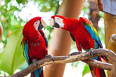 OpenAI调岗AI安全高管 新职位专注于AI推理